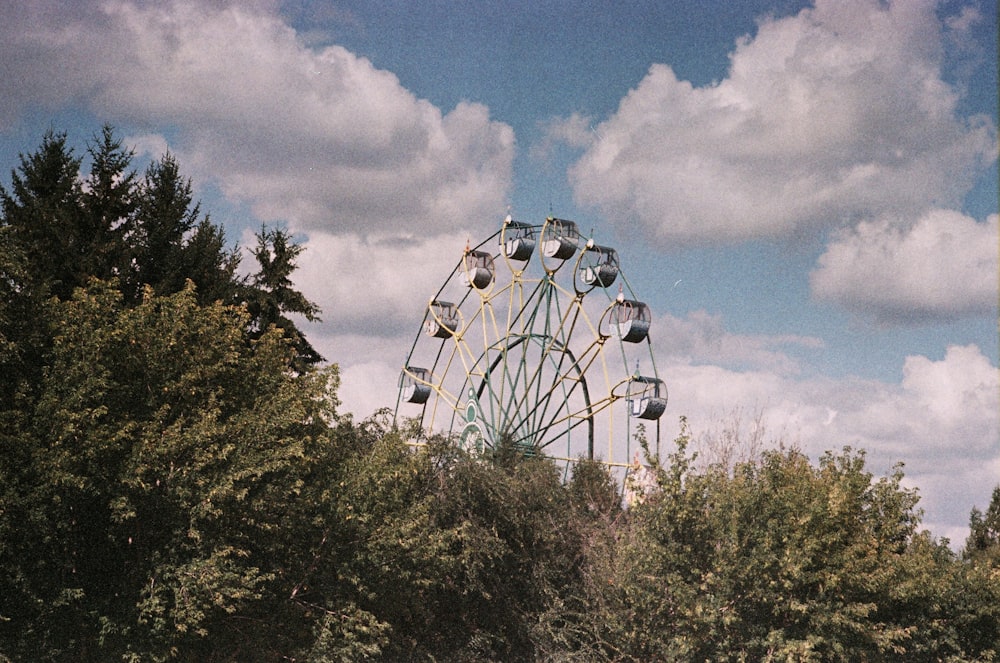 a ferris wheel in the middle of a park