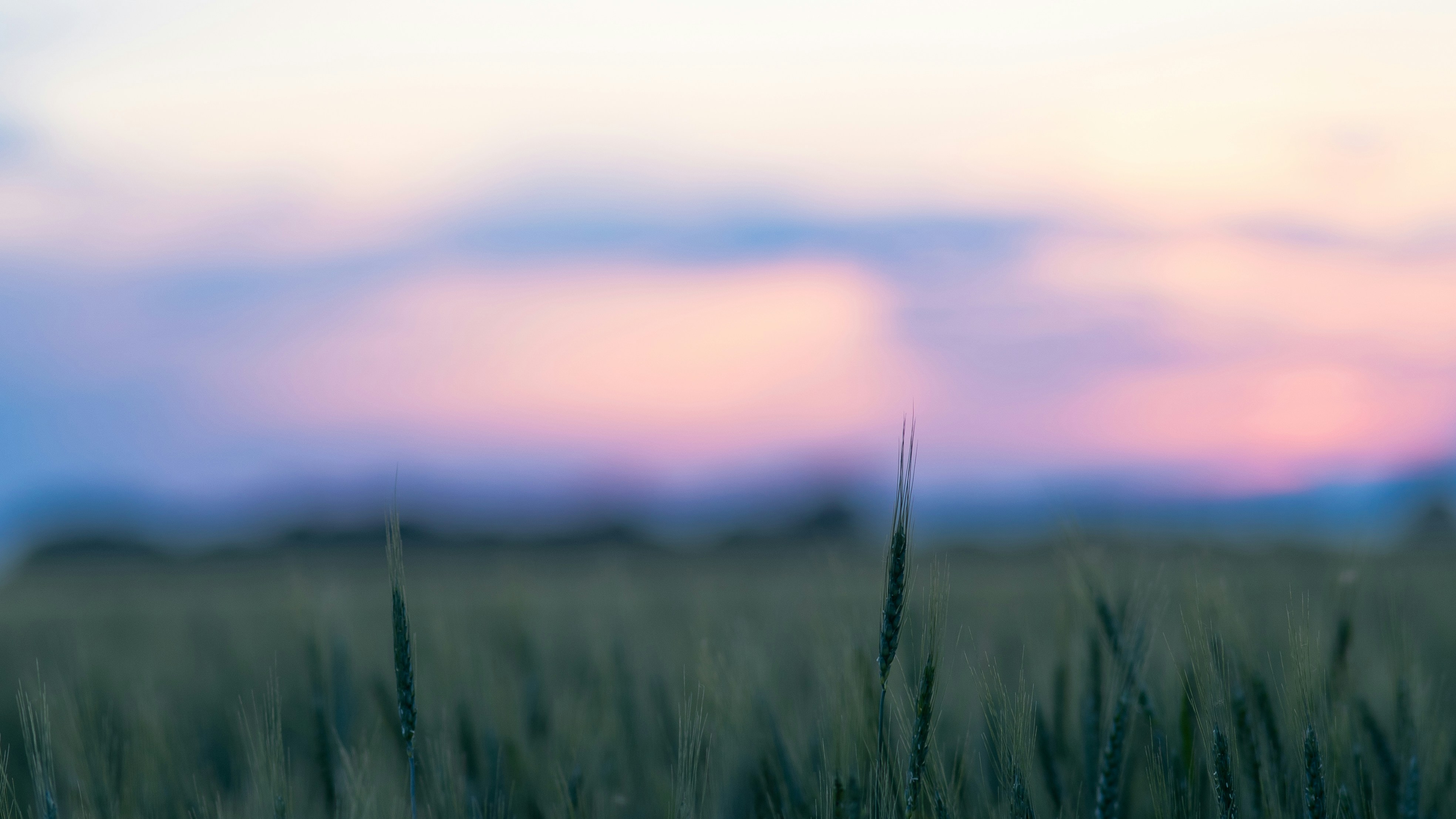 Photo by eugenechystiakov