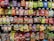 A supermarket shelf filled with various colorful packaged candies and snacks. The assortment includes well-known brands like Skittles, Haribo gummies, mints, and other assorted sweets neatly arranged. Each product has a visible price label, and the packaging features vibrant colors and eye-catching designs.