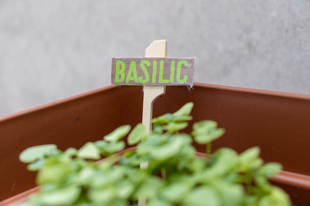 a planter with a sign that says basilic