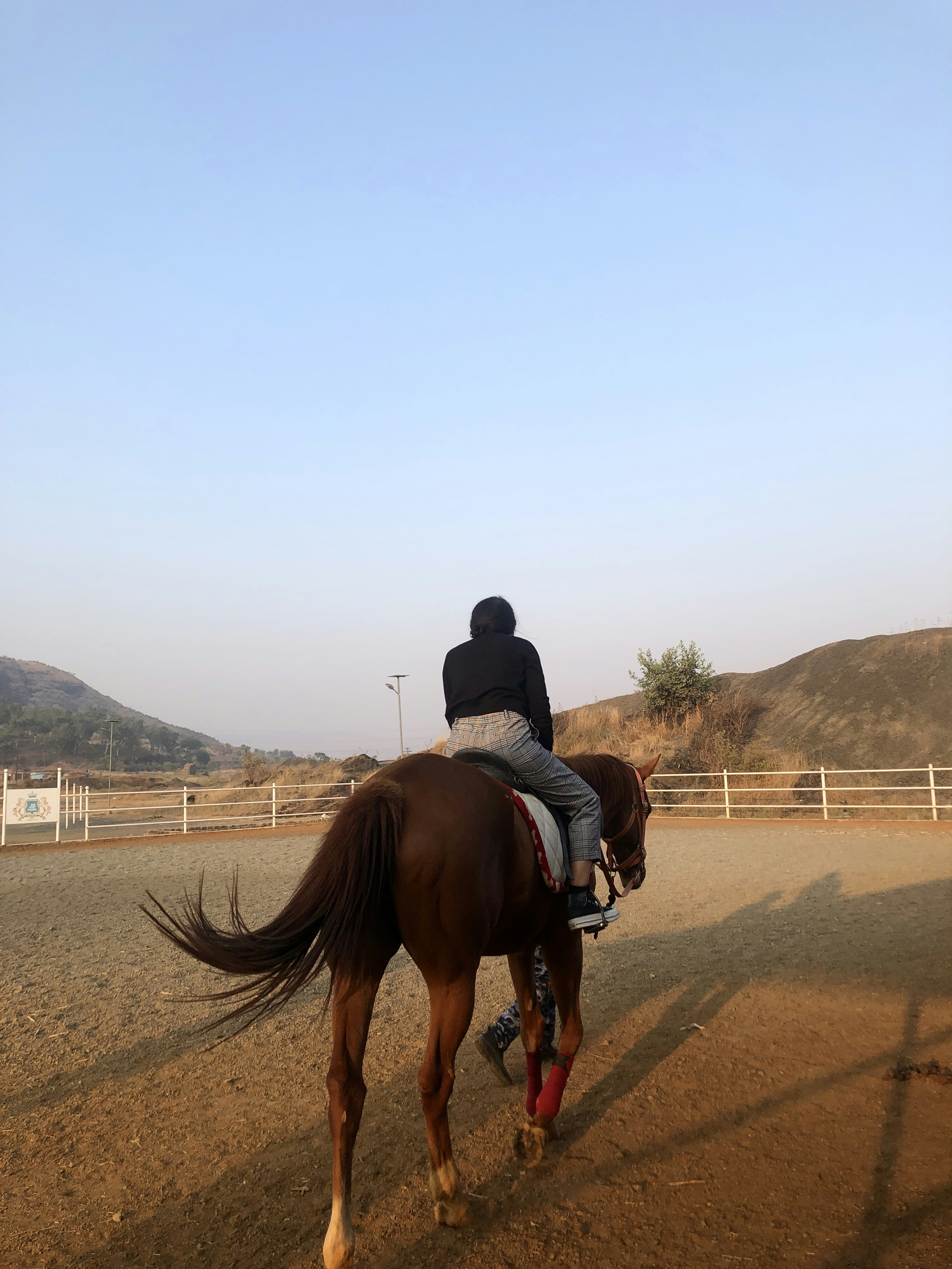 Girl riding on brown horse in sandy arenass