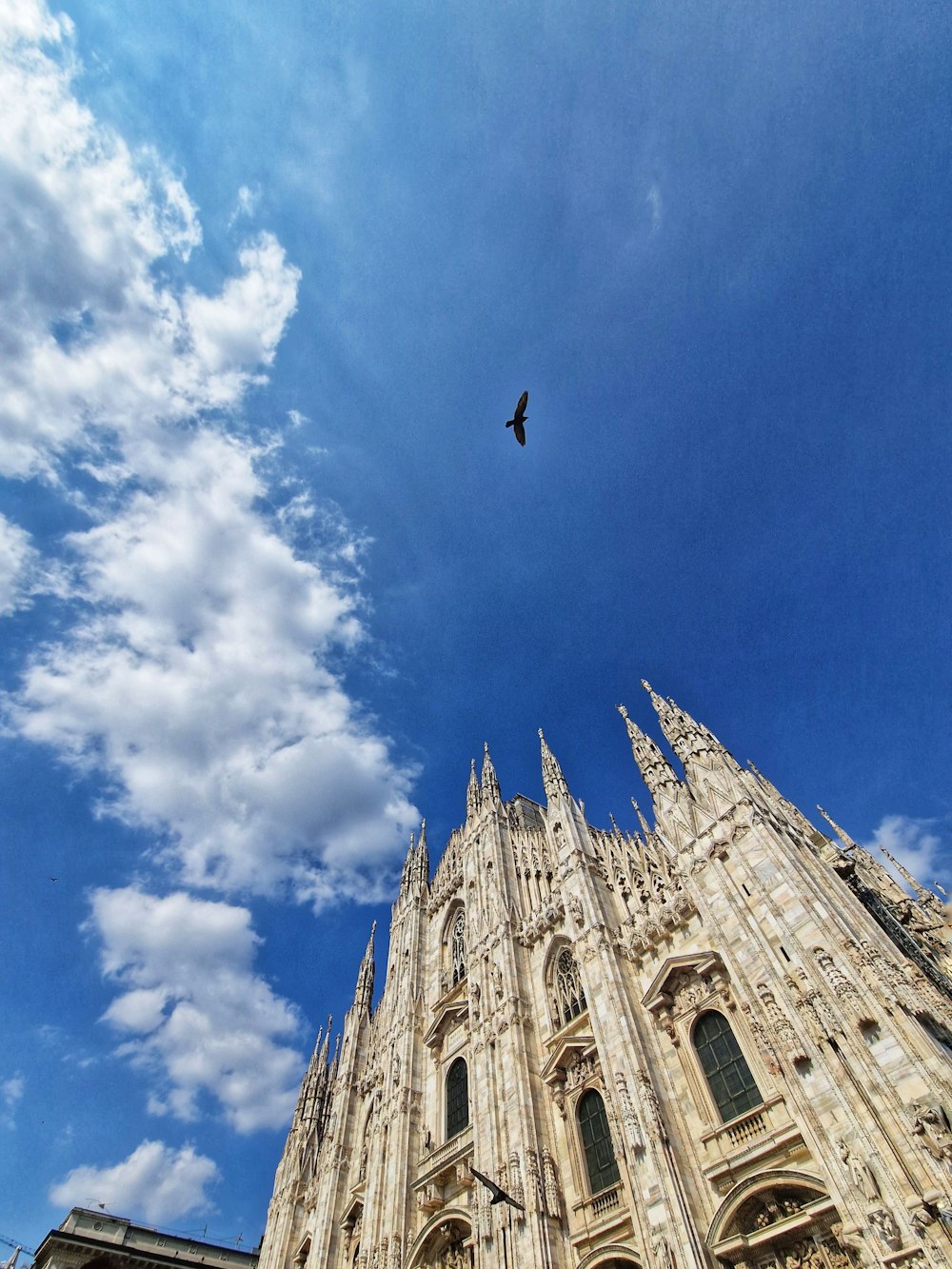 a large cathedral with a bird flying over it