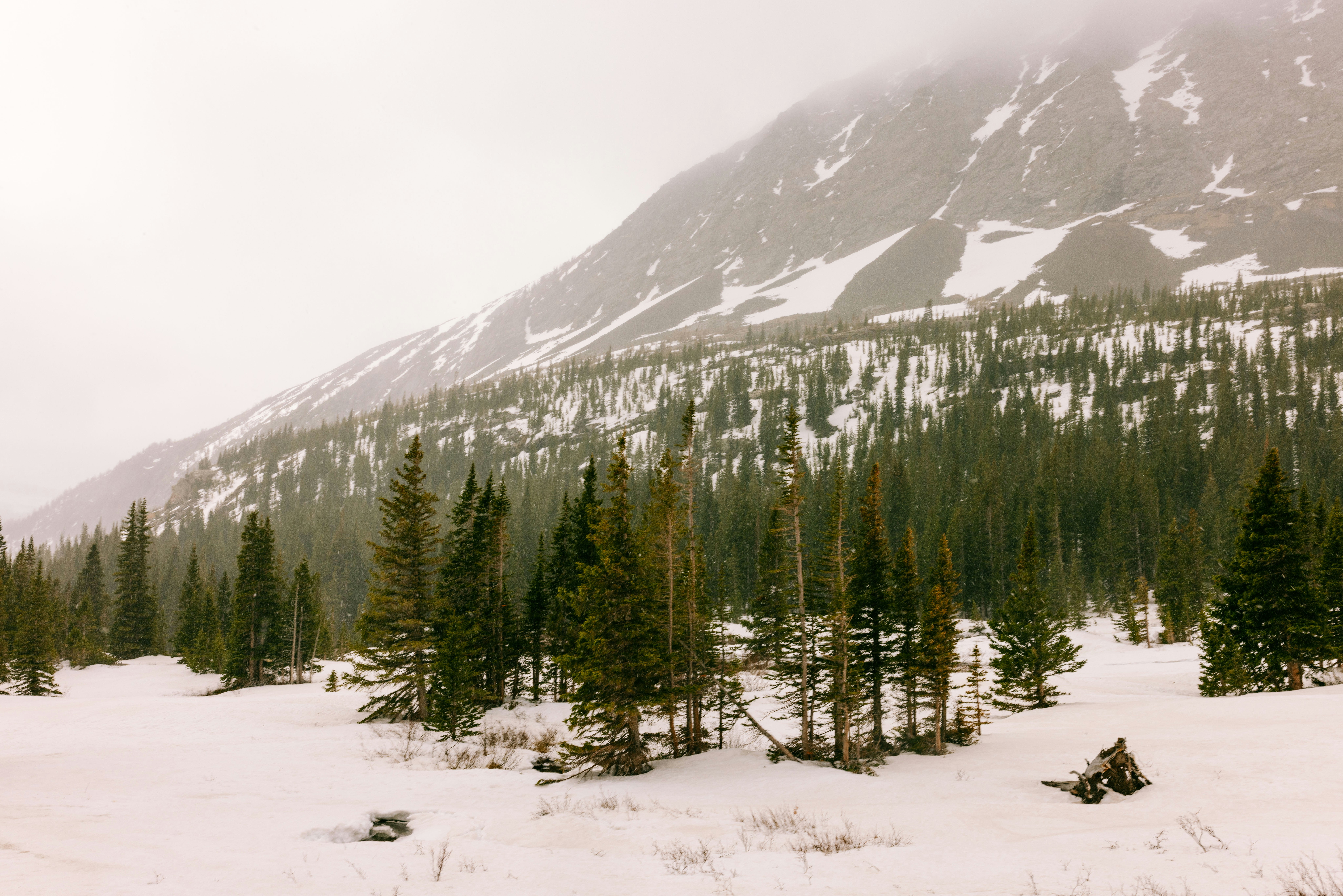 Photo by paularturotorres