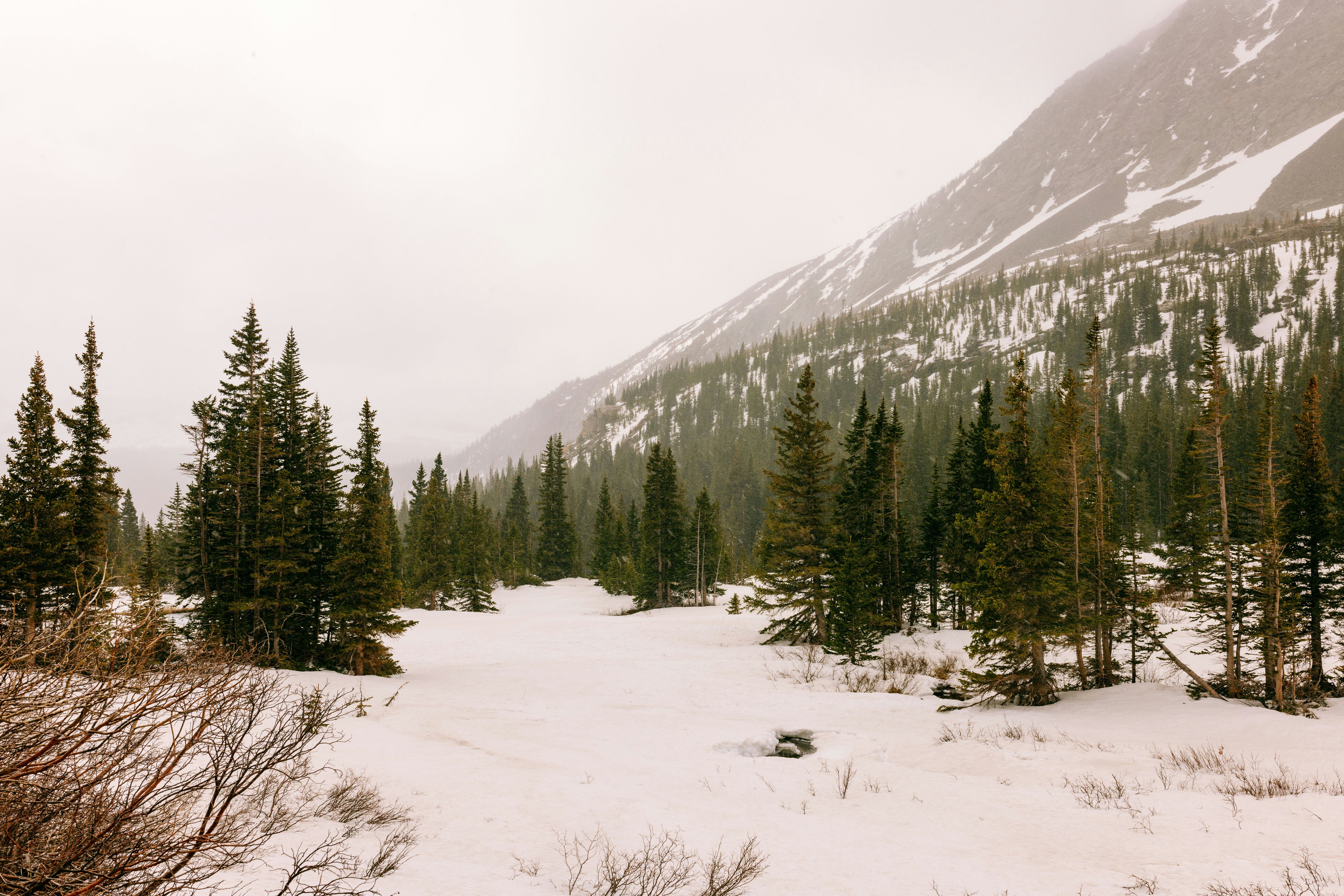 Photo by paularturotorres