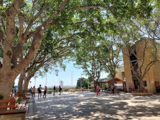 Malta üniversitesi kampüsünde insanlar yürüyor