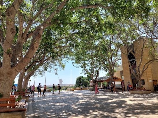 Malta üniversitesi kampüsünde insanlar yürüyor