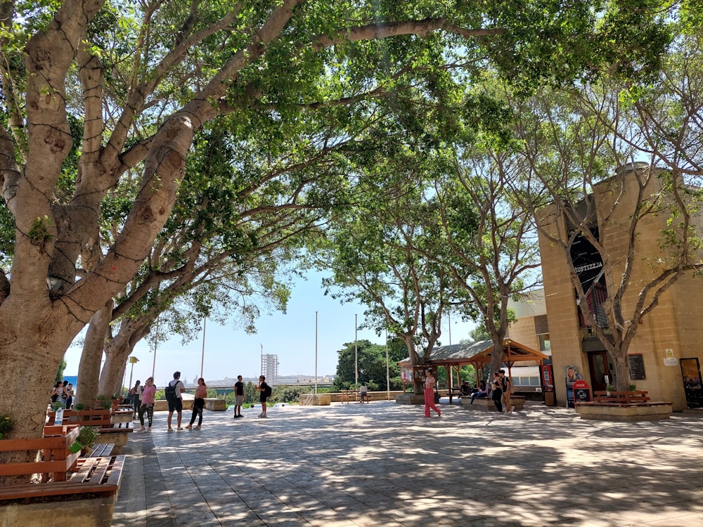 a group of people walking down a sidewalk next to trees