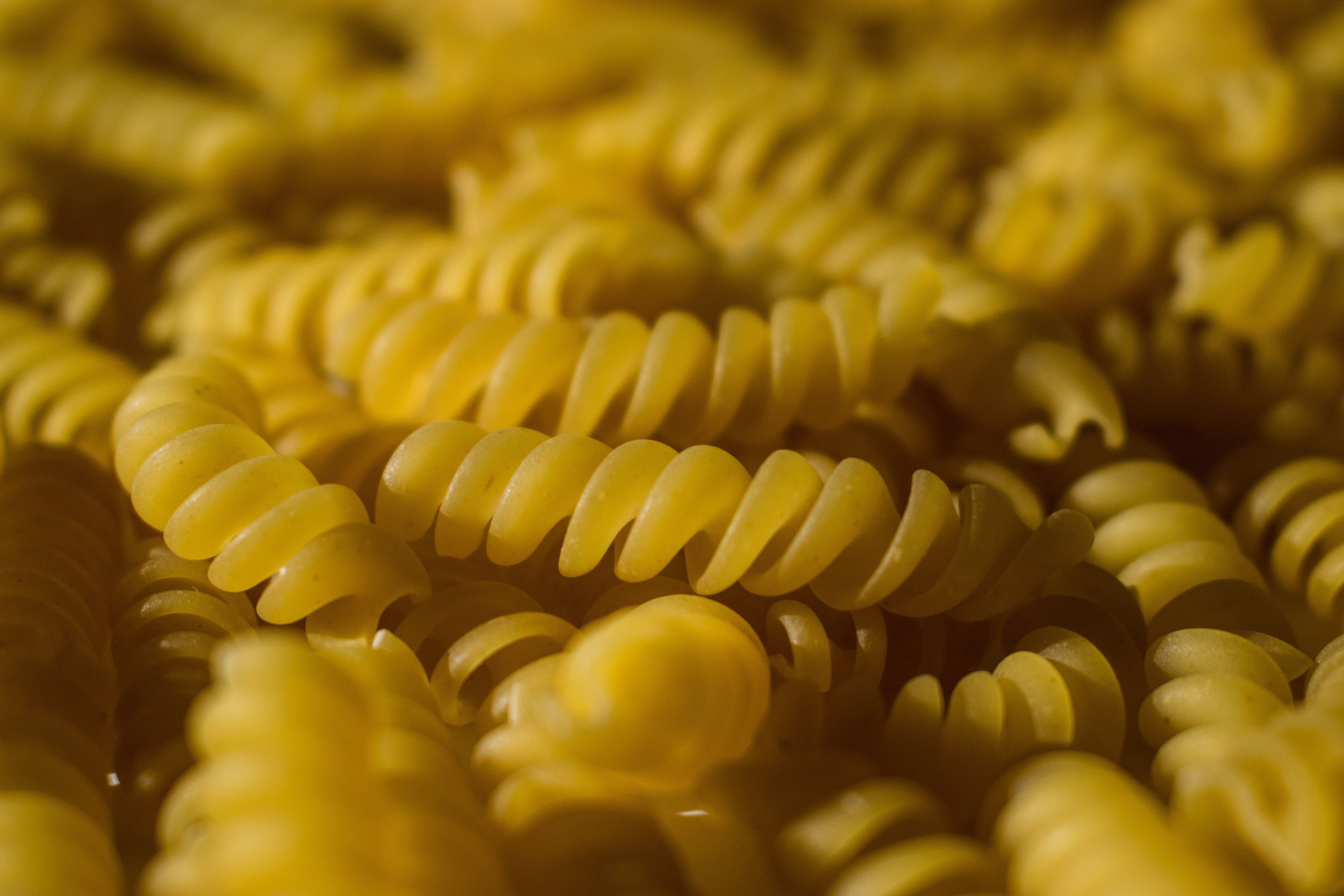 Cooked pasta linked to deadly food illness outbreak