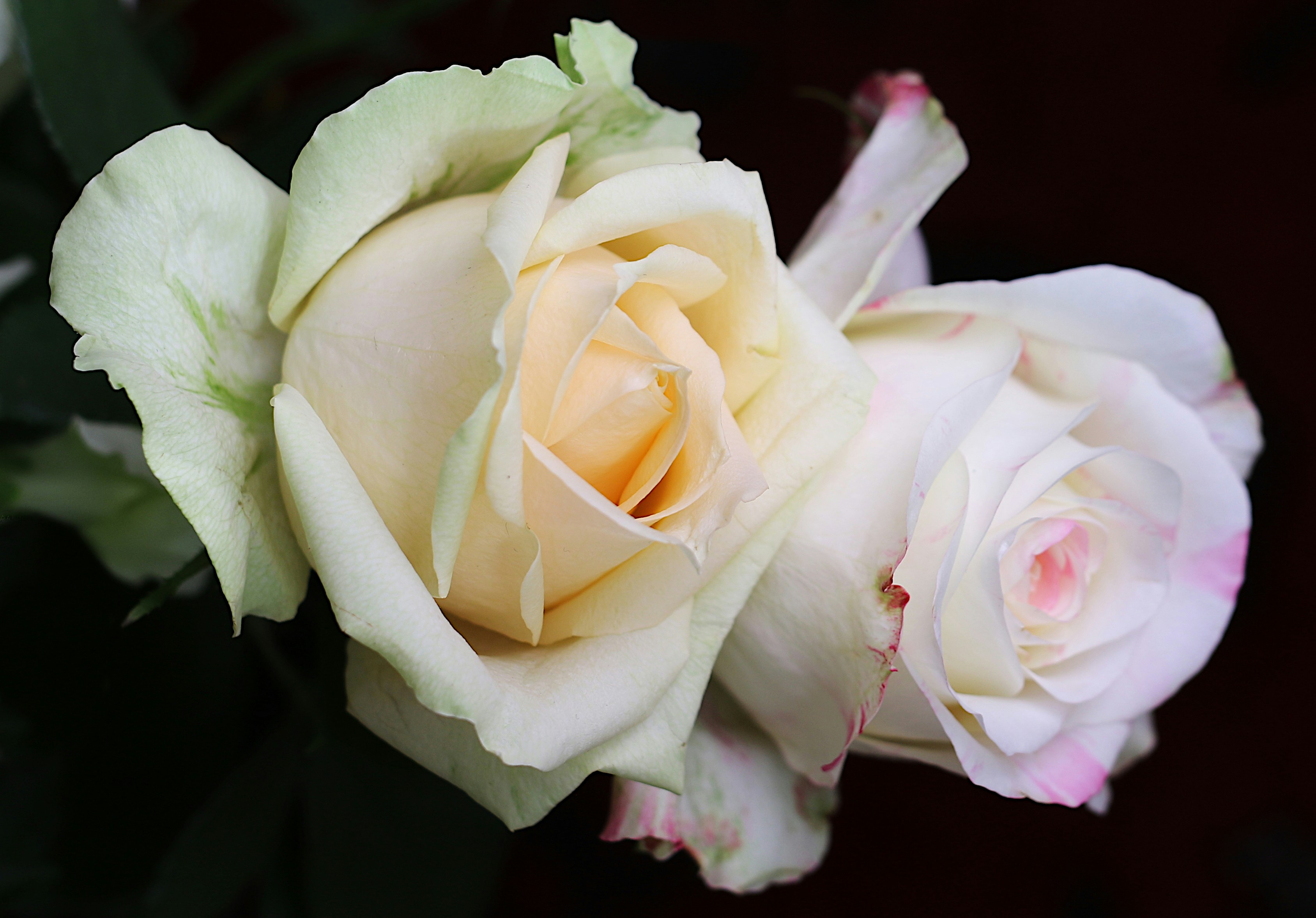 Photo by elizeartist