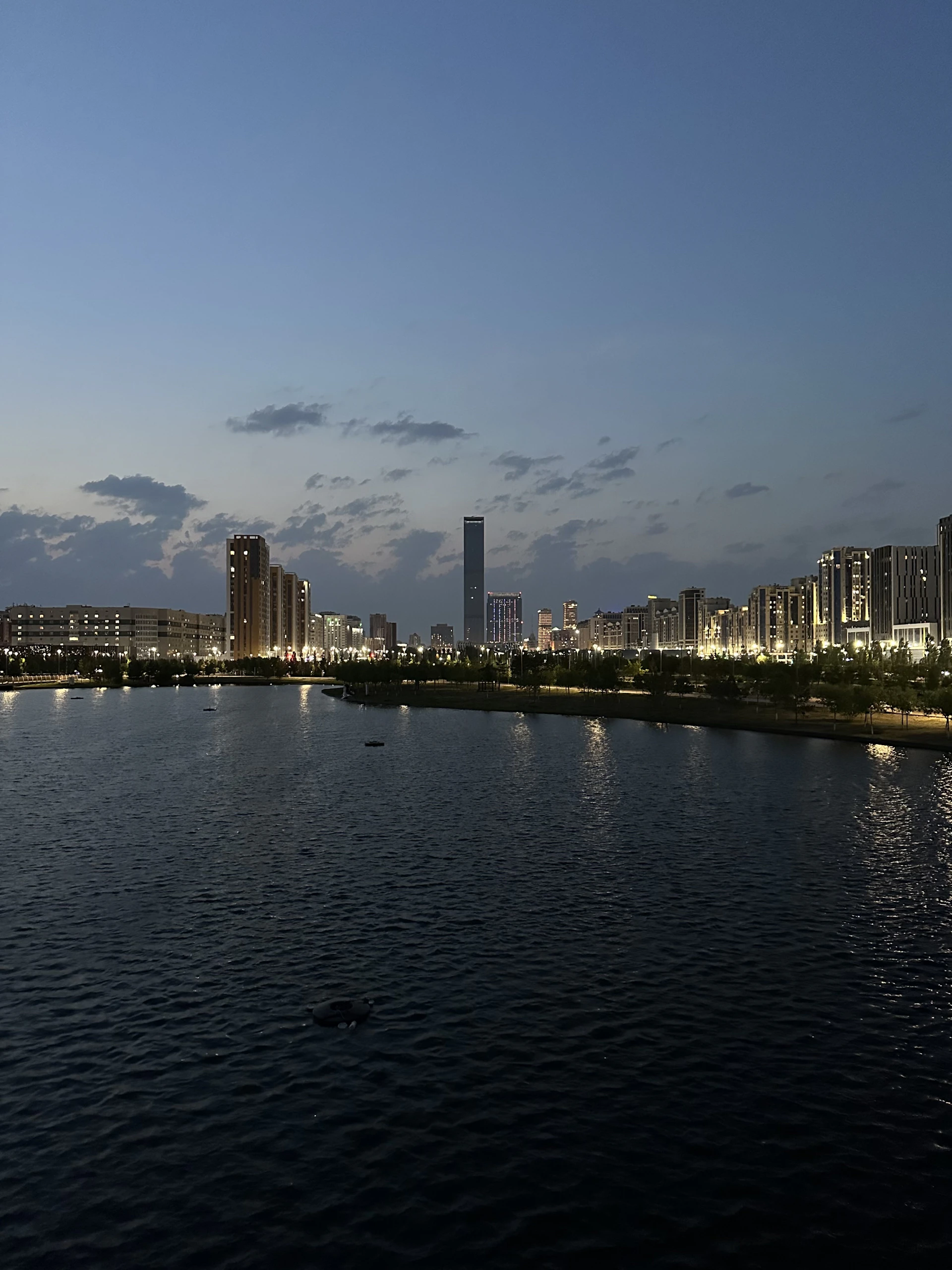 gray computer monitor