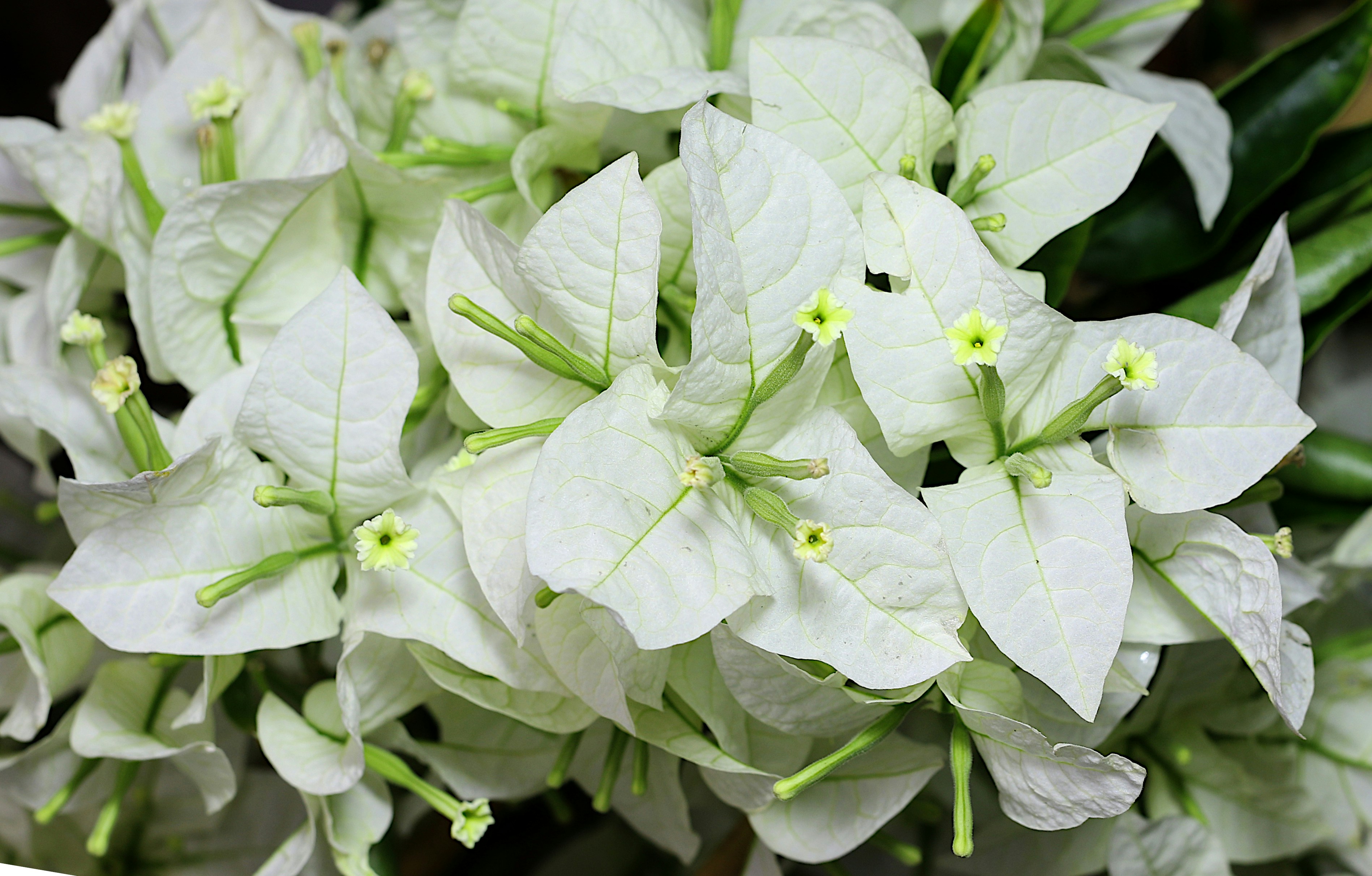 Photo by elizeartist