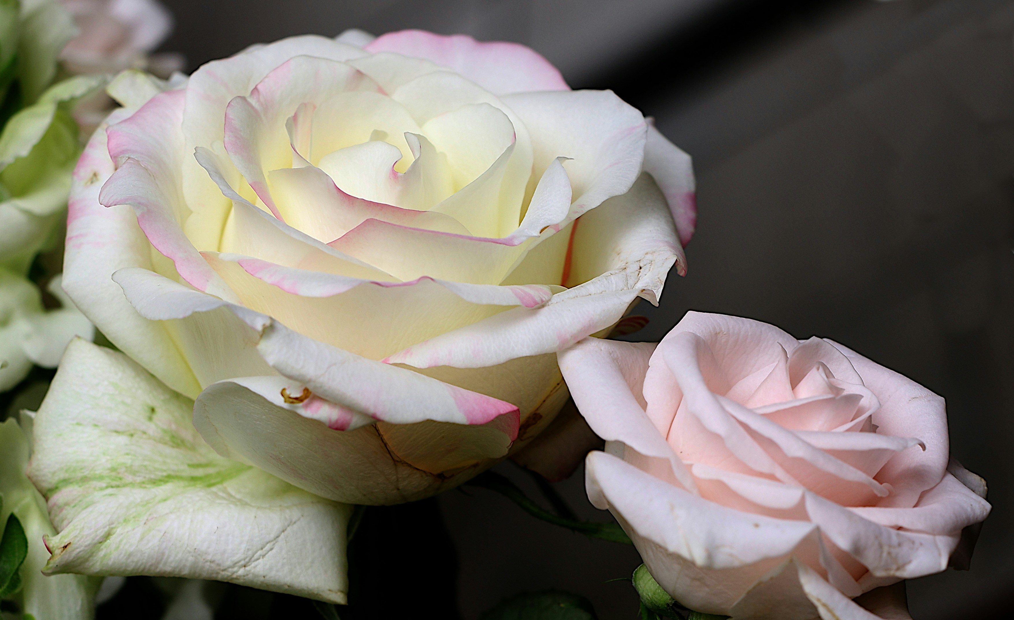 Photo by elizeartist