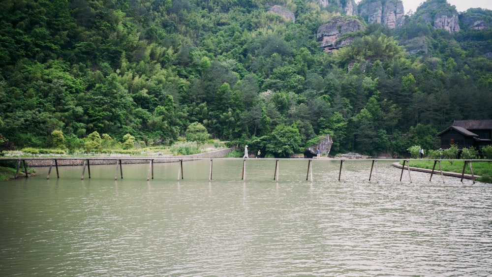 a body of water surrounded by a forest