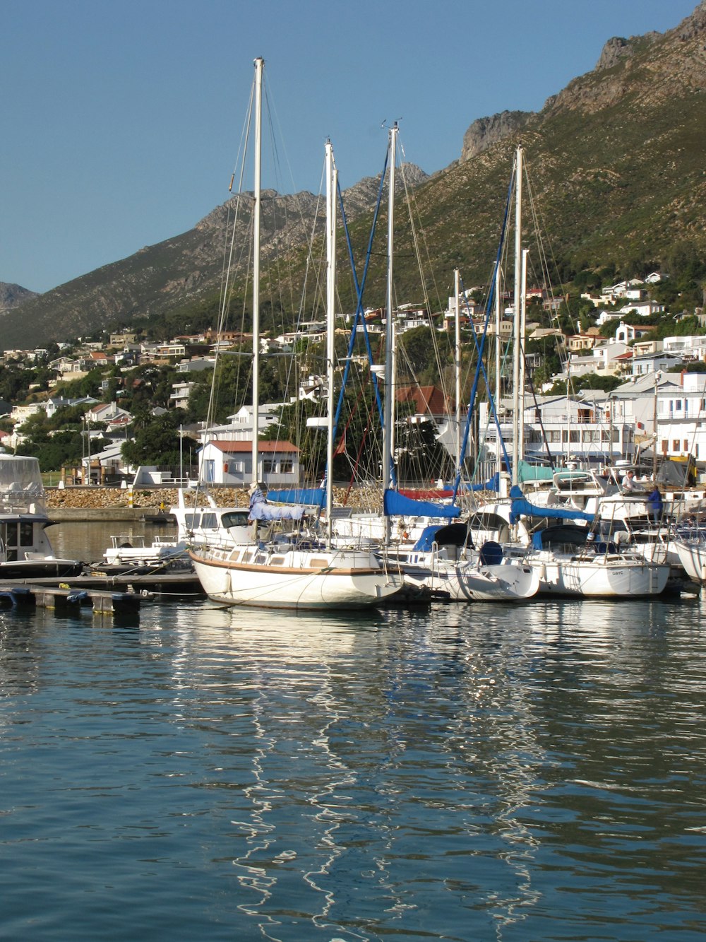 a group of sailboats docked in a harbor