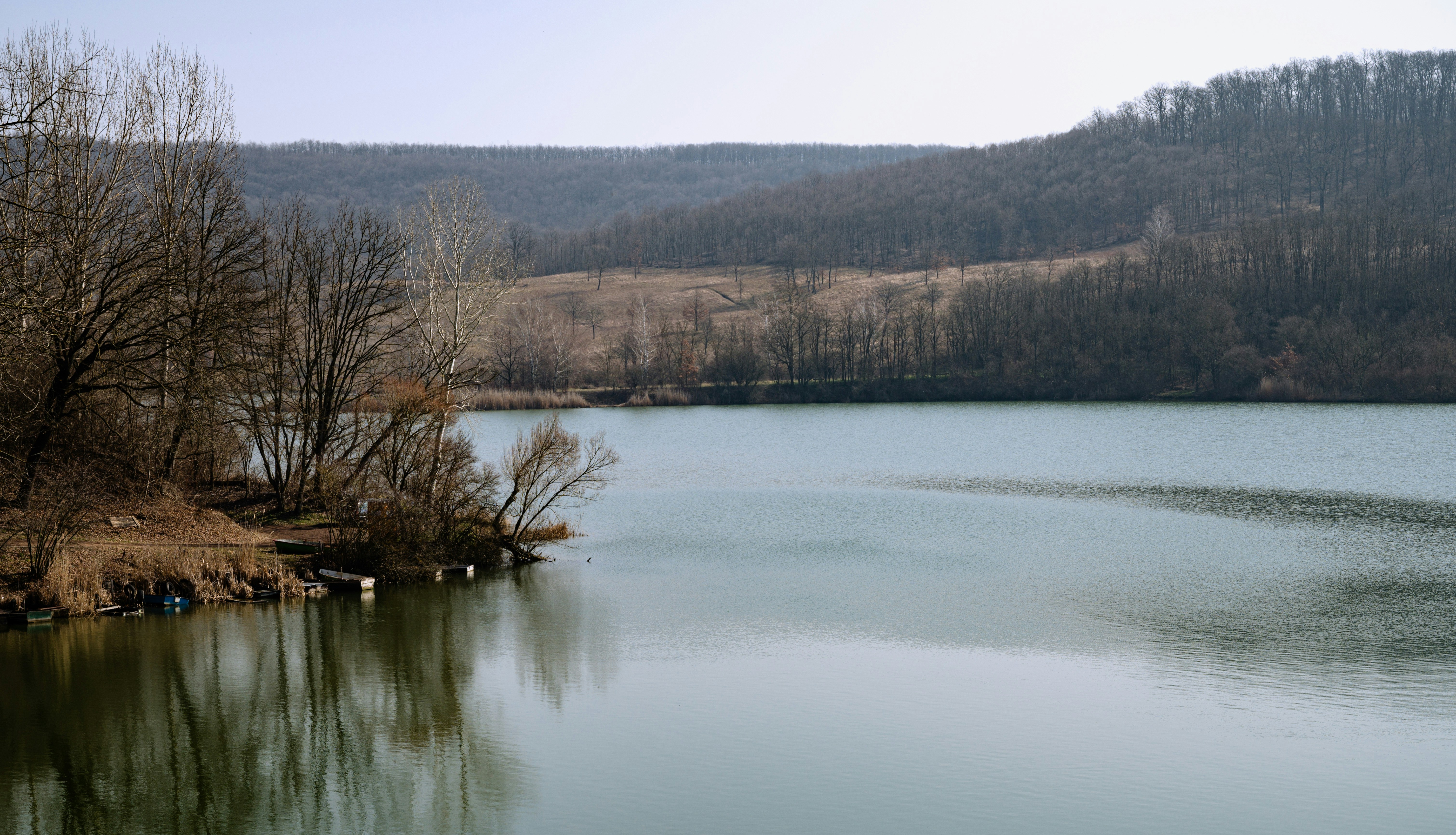 Photo by buduczki