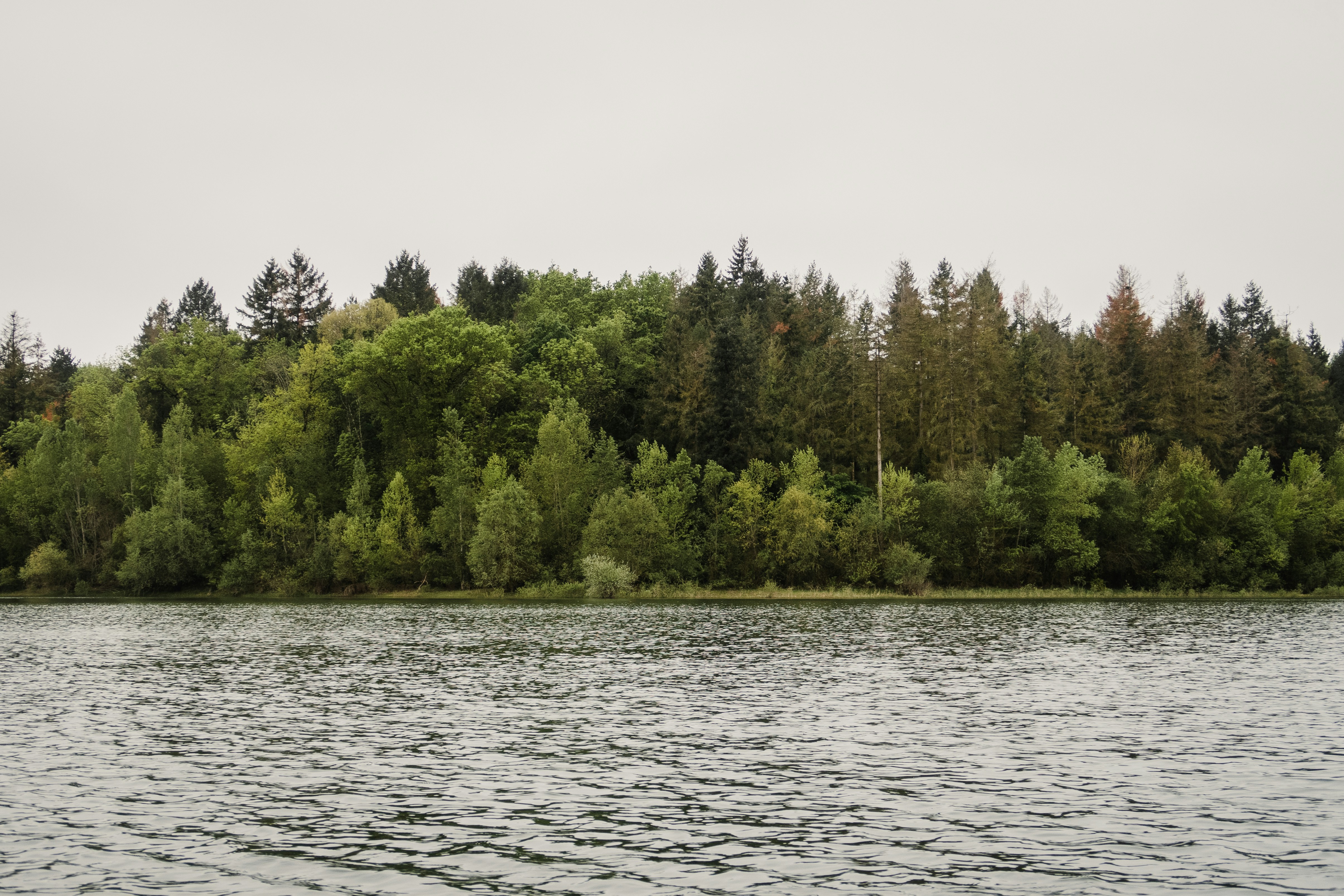 Photo by simaqua_raw