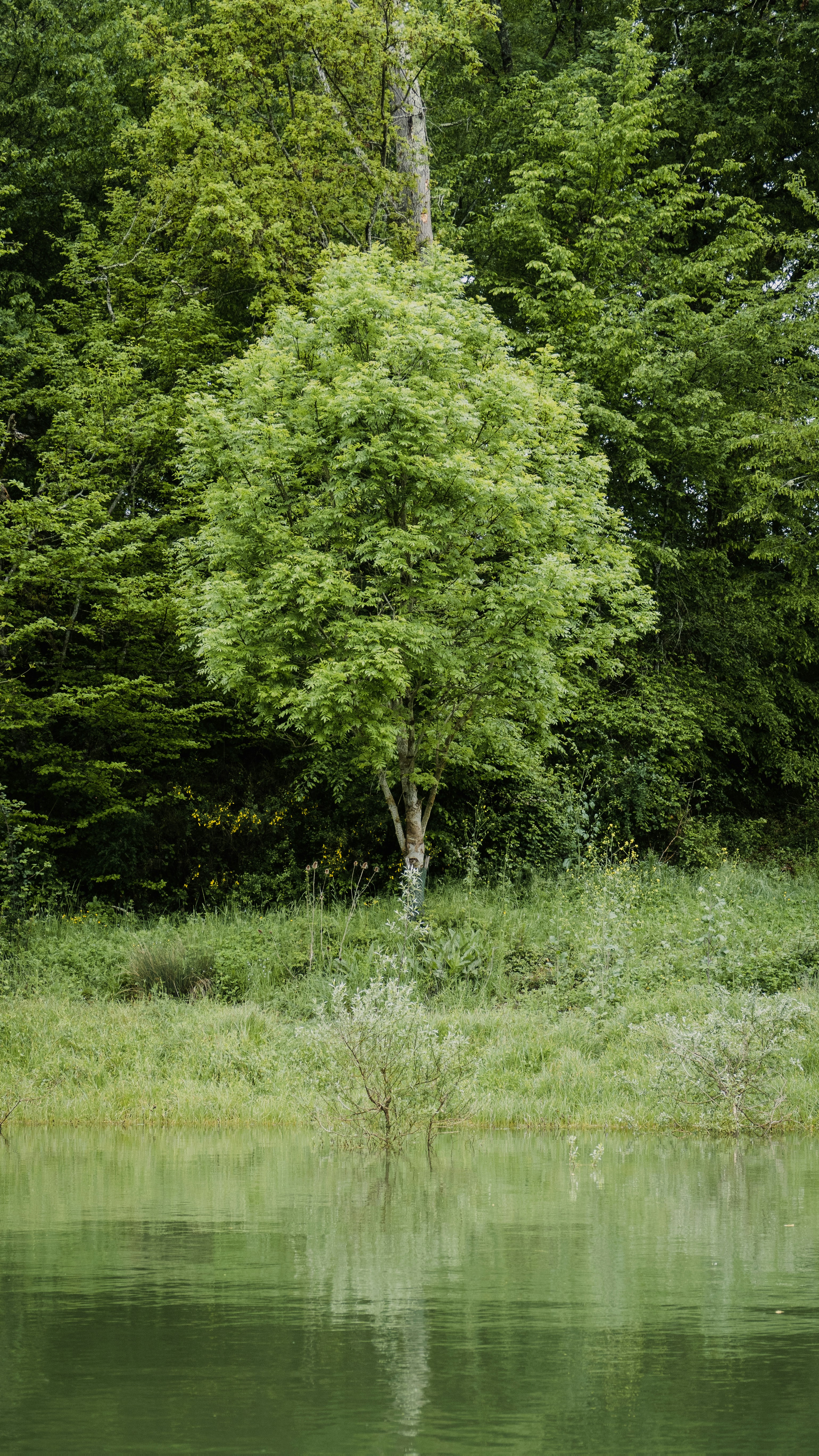 Photo by simaqua_raw