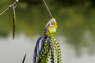 A close-up view of a colorful fishing lure shaped like a fish, showcasing vivid green and purple details against a blurred natural background. The lure features a metallic element reflecting light and a large eye, enhancing its lifelike appearance.