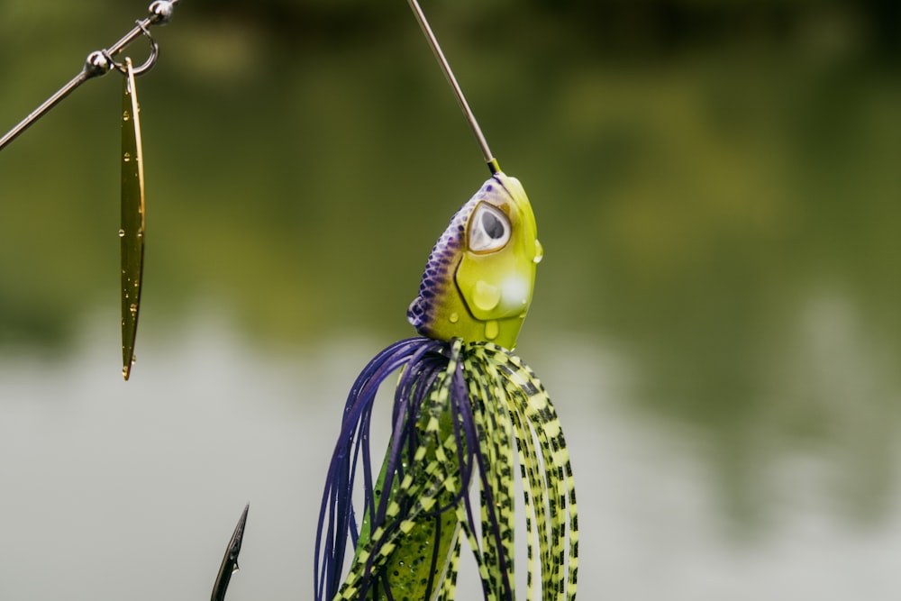 a close up of a fish on a fishing hook