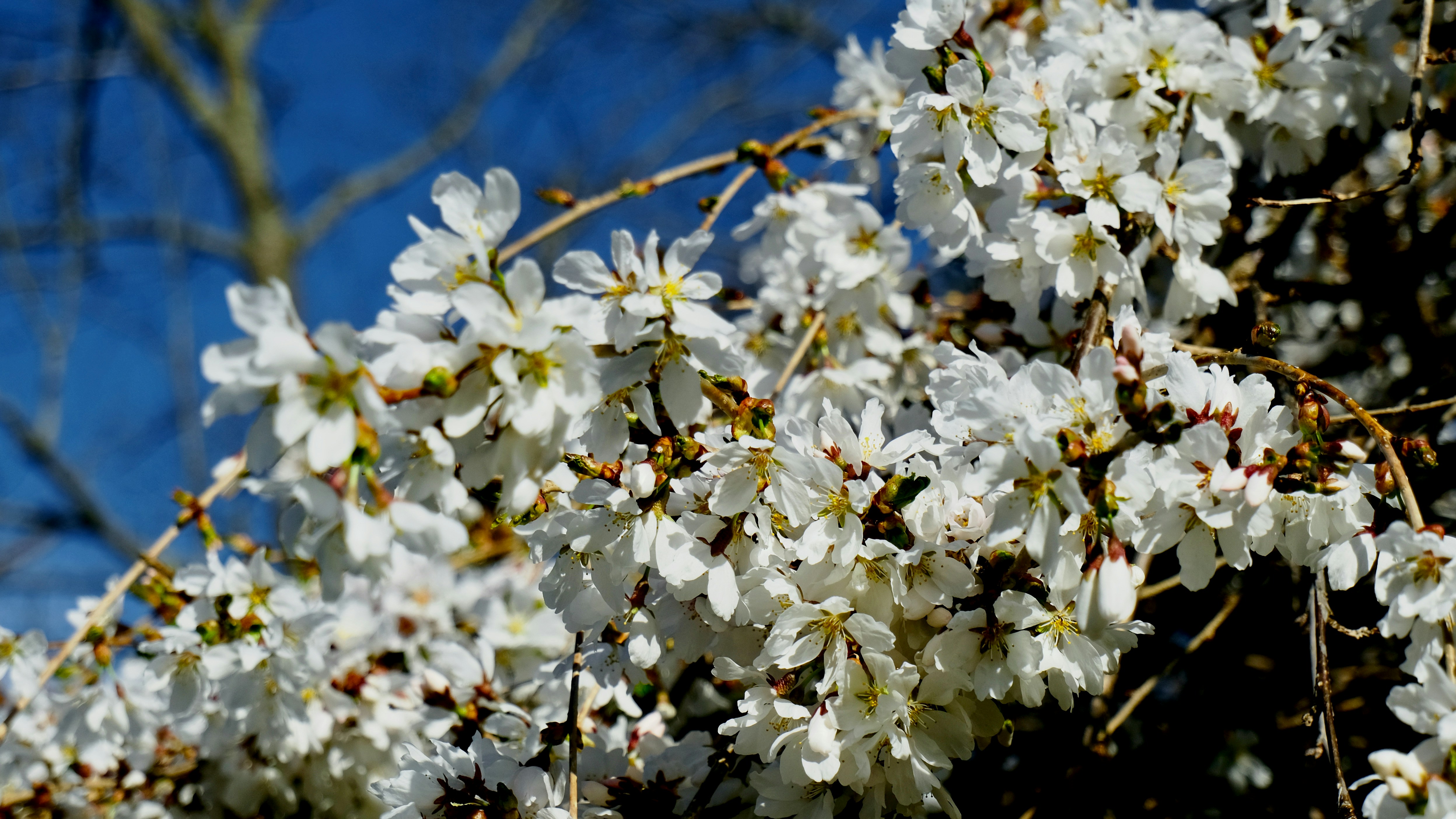 Photo by rebeccadorrart