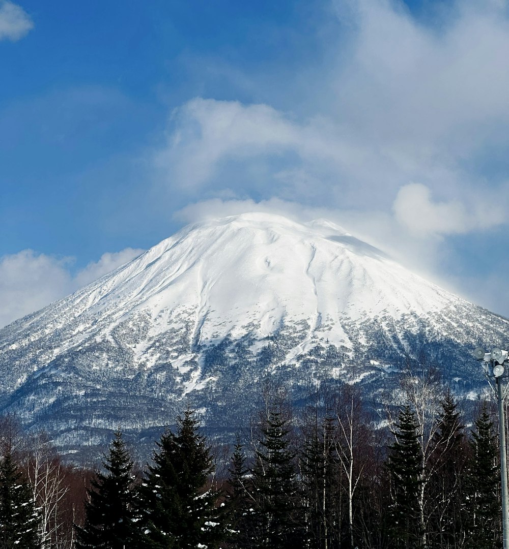 ein schneebedeckter Berg mit Bäumen im Vordergrund