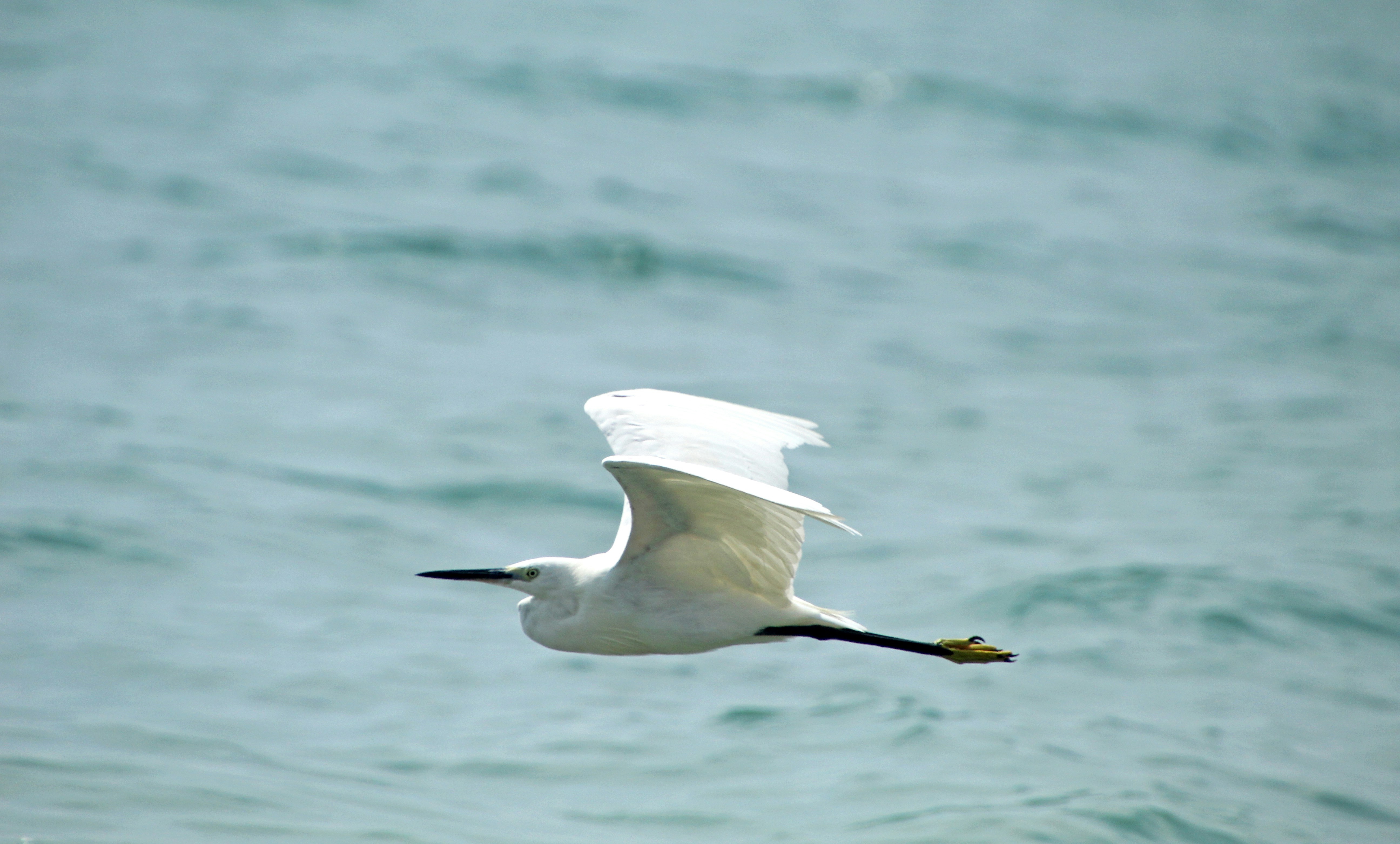 woman wearing yellow long-sleeved dress under white clouds and blue sky during daytime