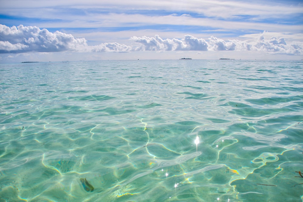 a body of water that has some water in it