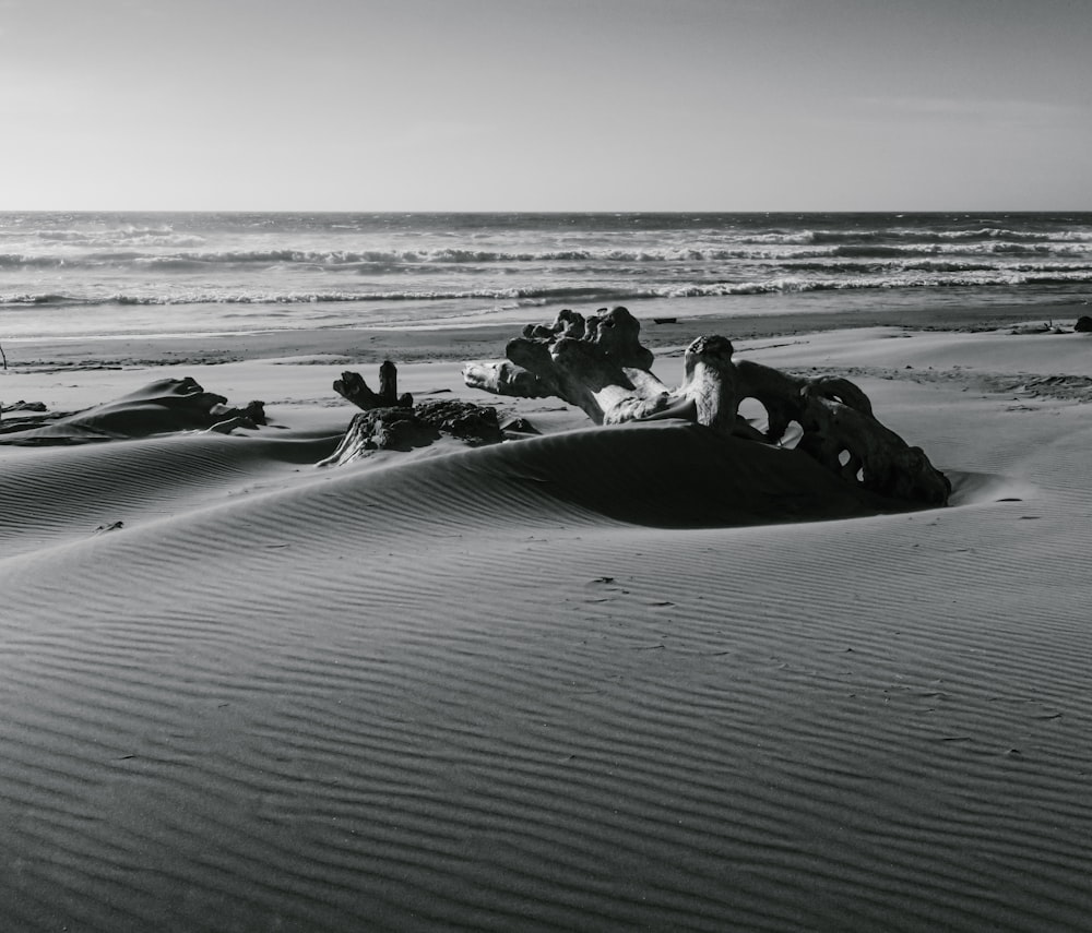 a black and white photo of a beach