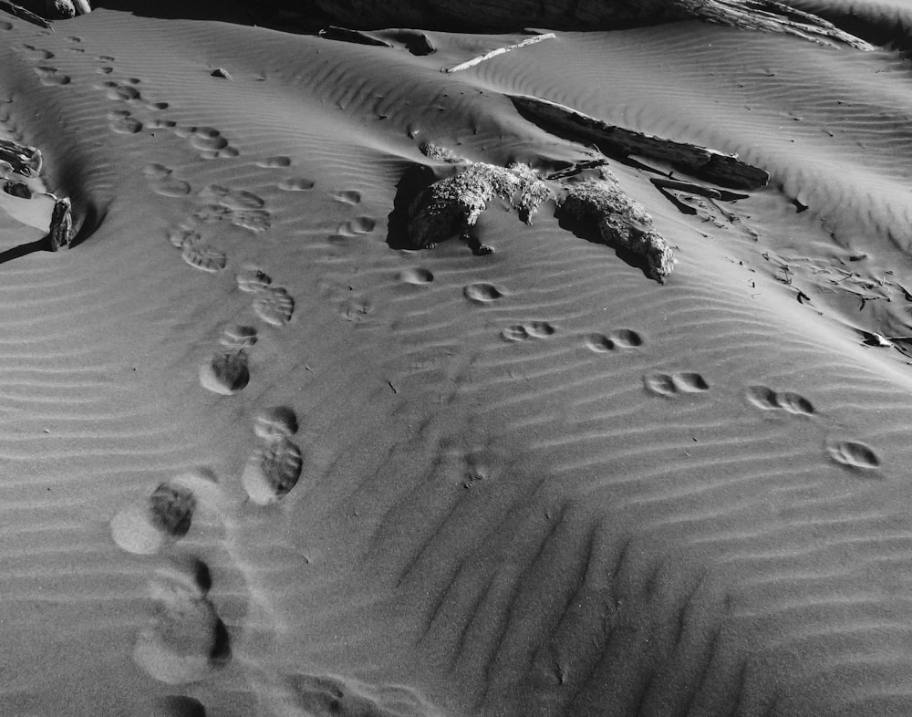 a black and white photo of footprints in the sand