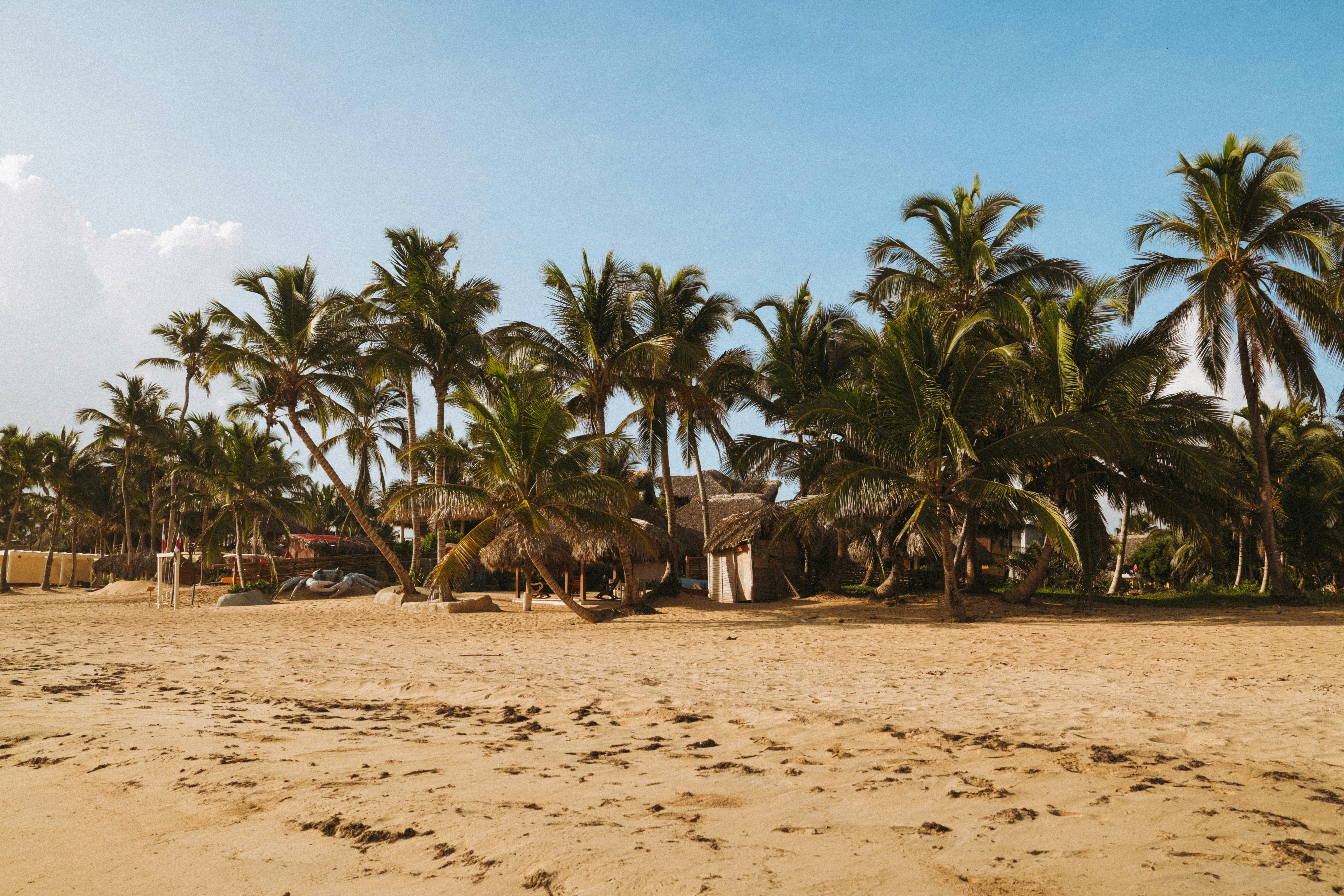 a sandy beach with palm trees and a hut