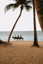 Private beach and horseback riding