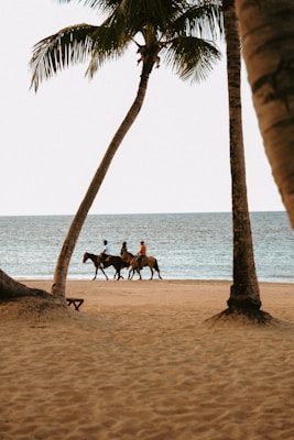 Private beach and horseback riding
