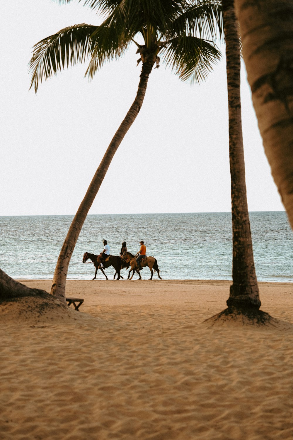 a couple of people riding horses on a beach