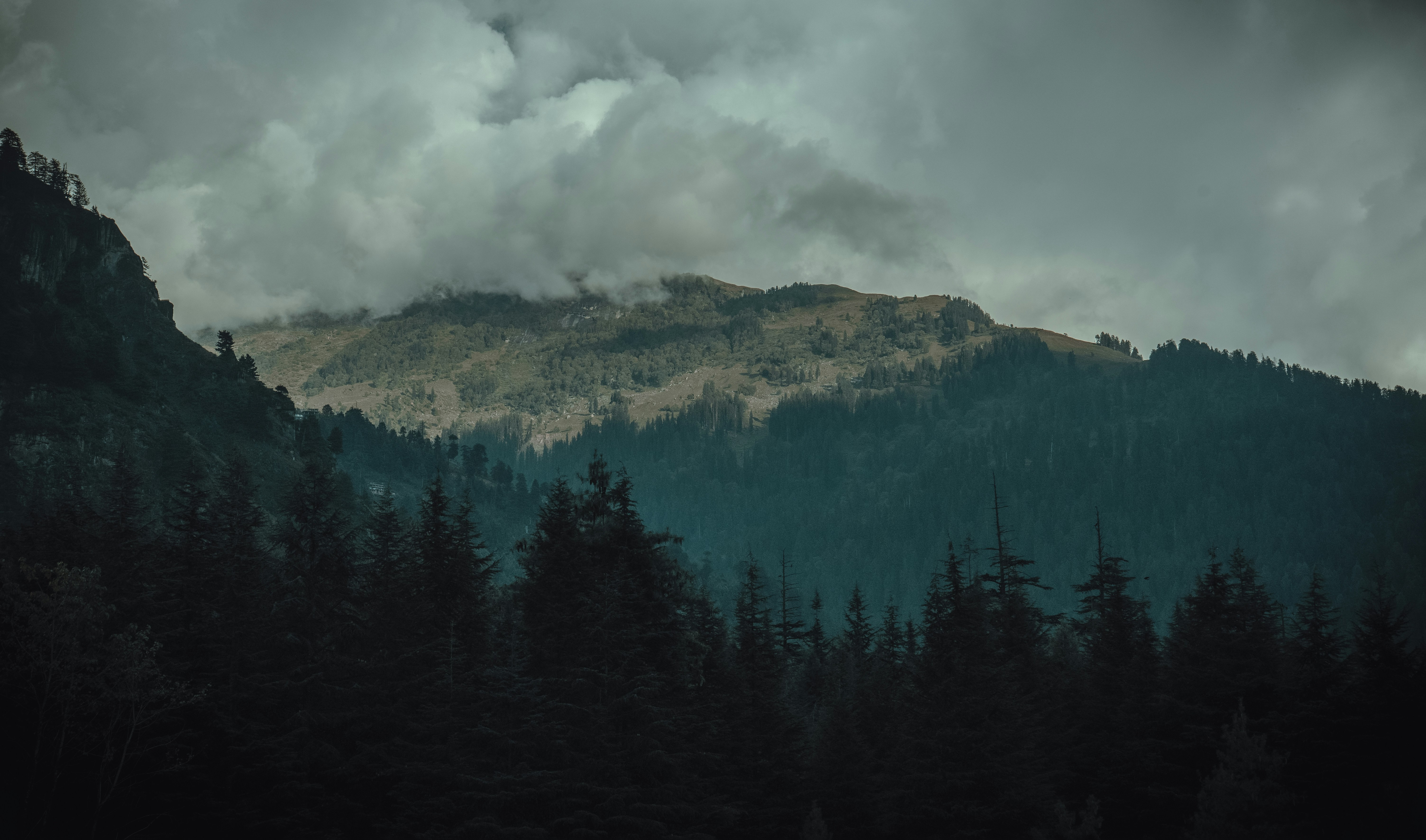 Photo by subhadeep003