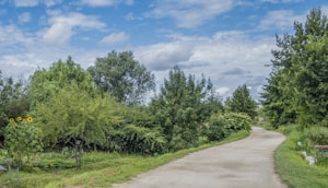 A winding pathway bordered by lush green trees and shrubs under a partly cloudy sky. Bright sunflowers bloom on the left side near the edge of the path, adding a pop of color to the verdant scene. The path curves gently, leading deeper into the dense greenery.