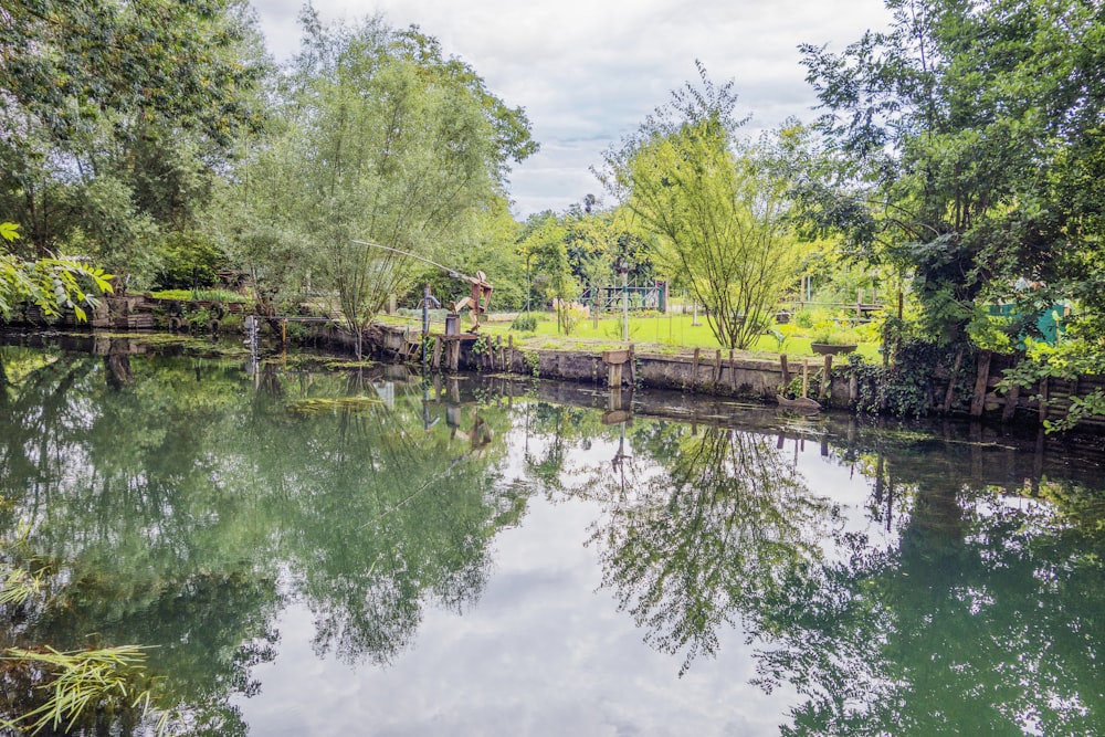 a body of water surrounded by trees and grass