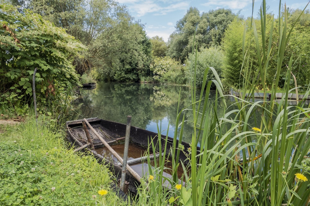 a boat sitting on top of a river next to a lush green forest