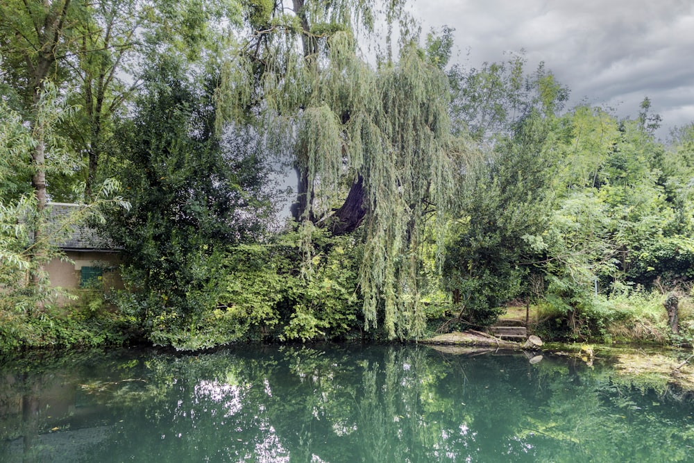 un cuerpo de agua rodeado de árboles y un puente