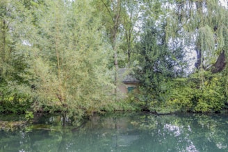 A tranquil river scene with a vacation home nestled among the trees.