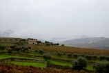 Rolling hills of the Parco del Curone landscape surrounding the farm.
