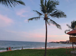 Sunset view over Málaga’s coastline with beachgoers and palm trees.
