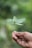 A smiling woman holding a small plant, symbolizing natural health and hope.
