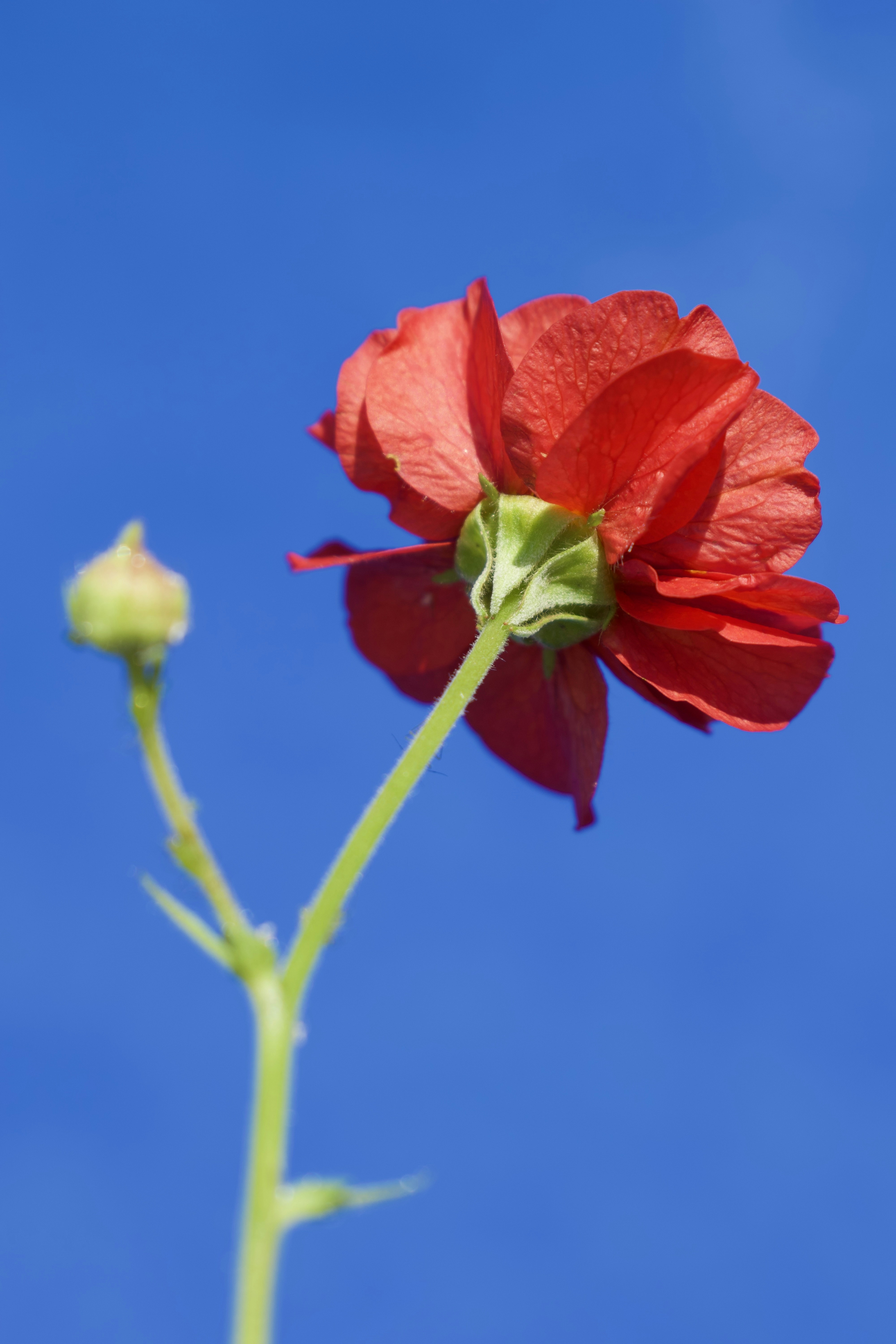 Photo by thebenitezz