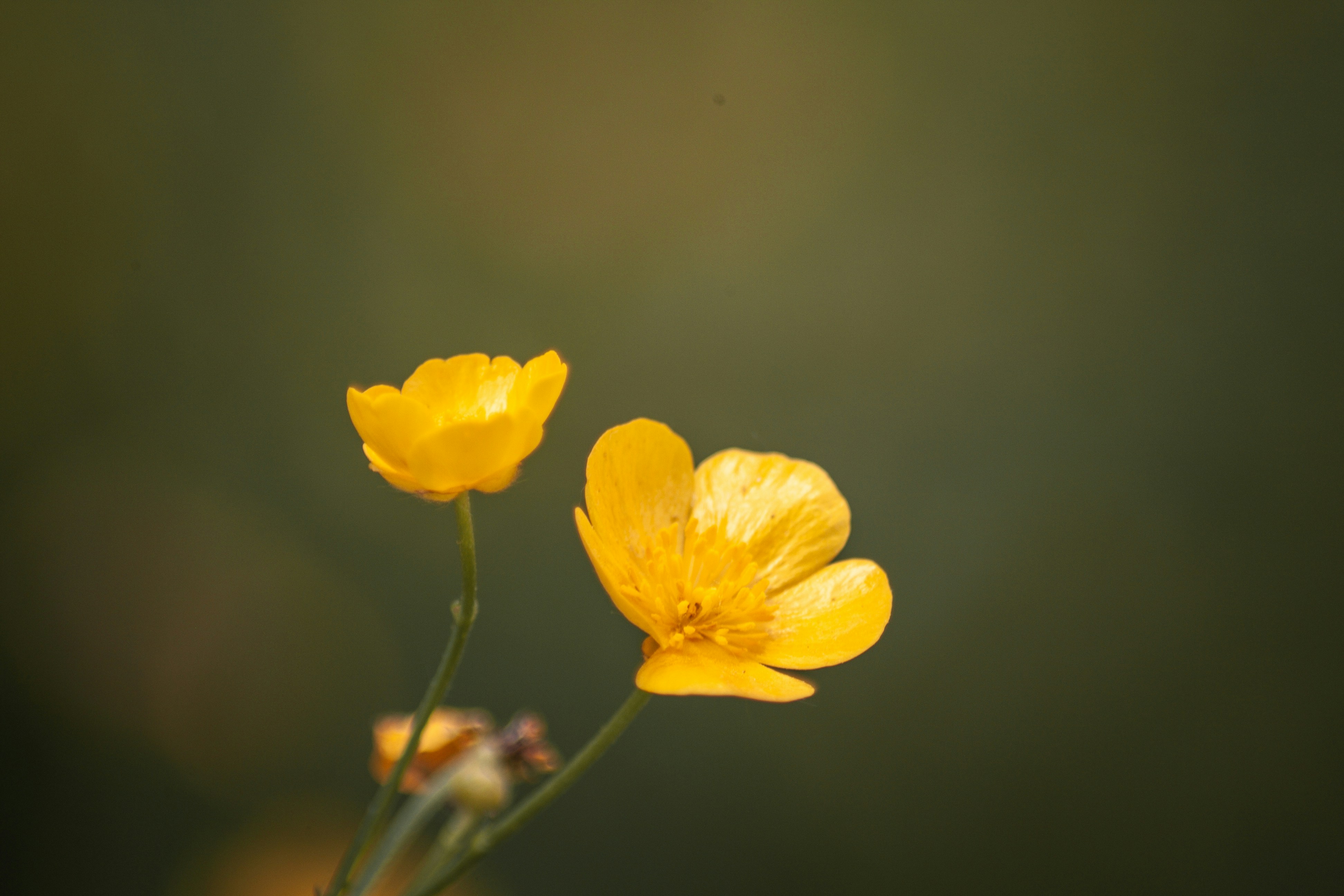 Photo by alex_emanuel20