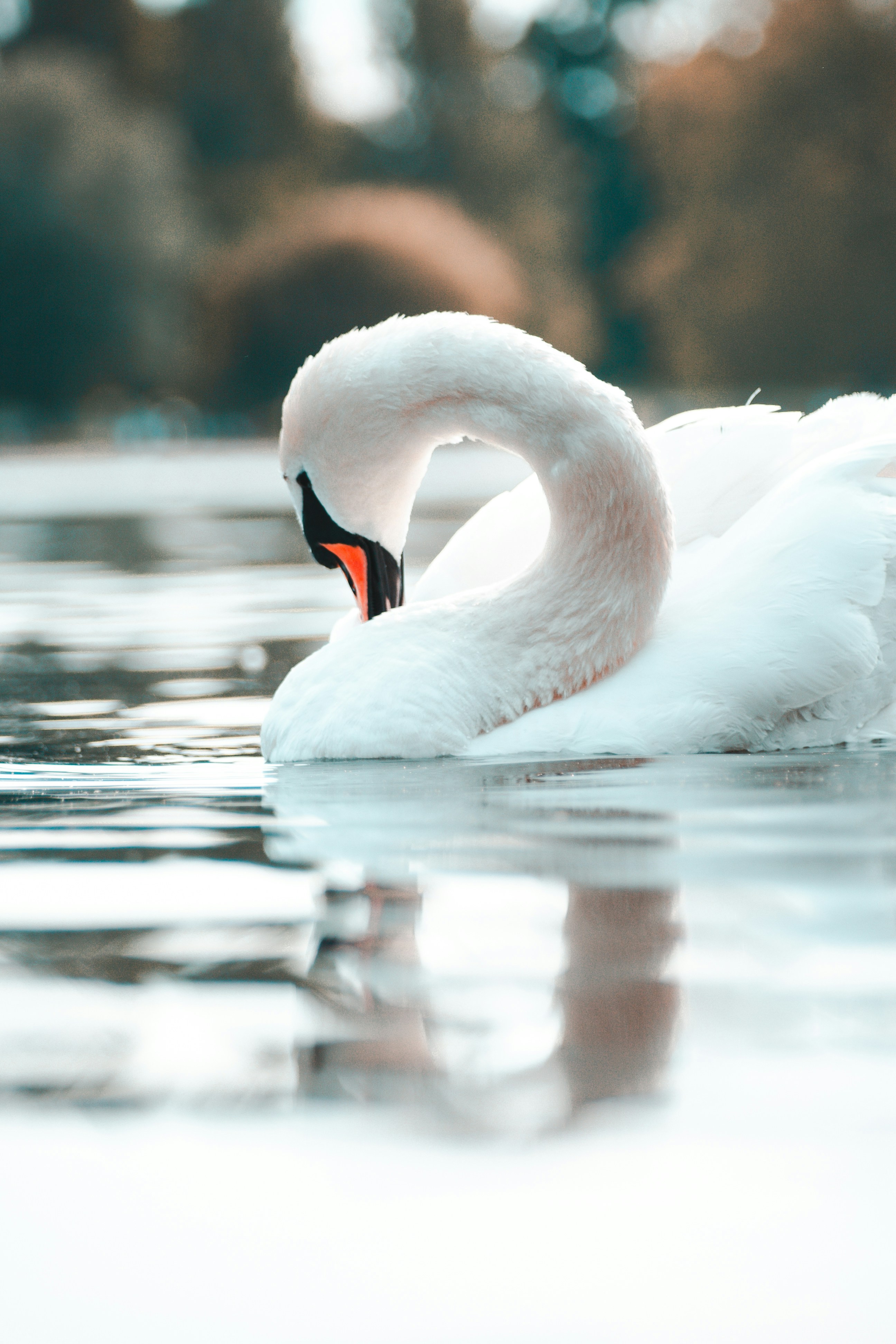 Photo by alex_emanuel20