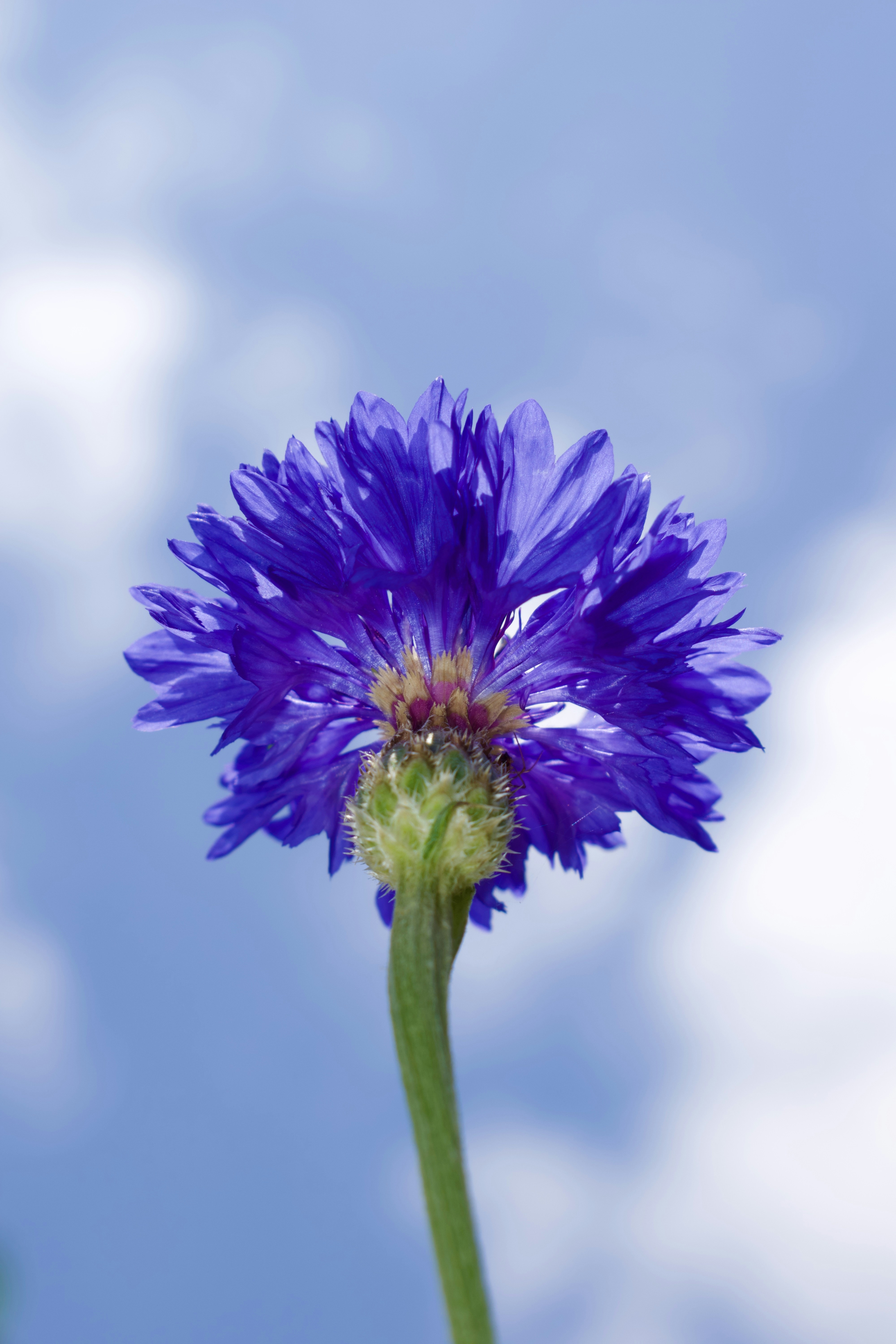 Photo by thebenitezz