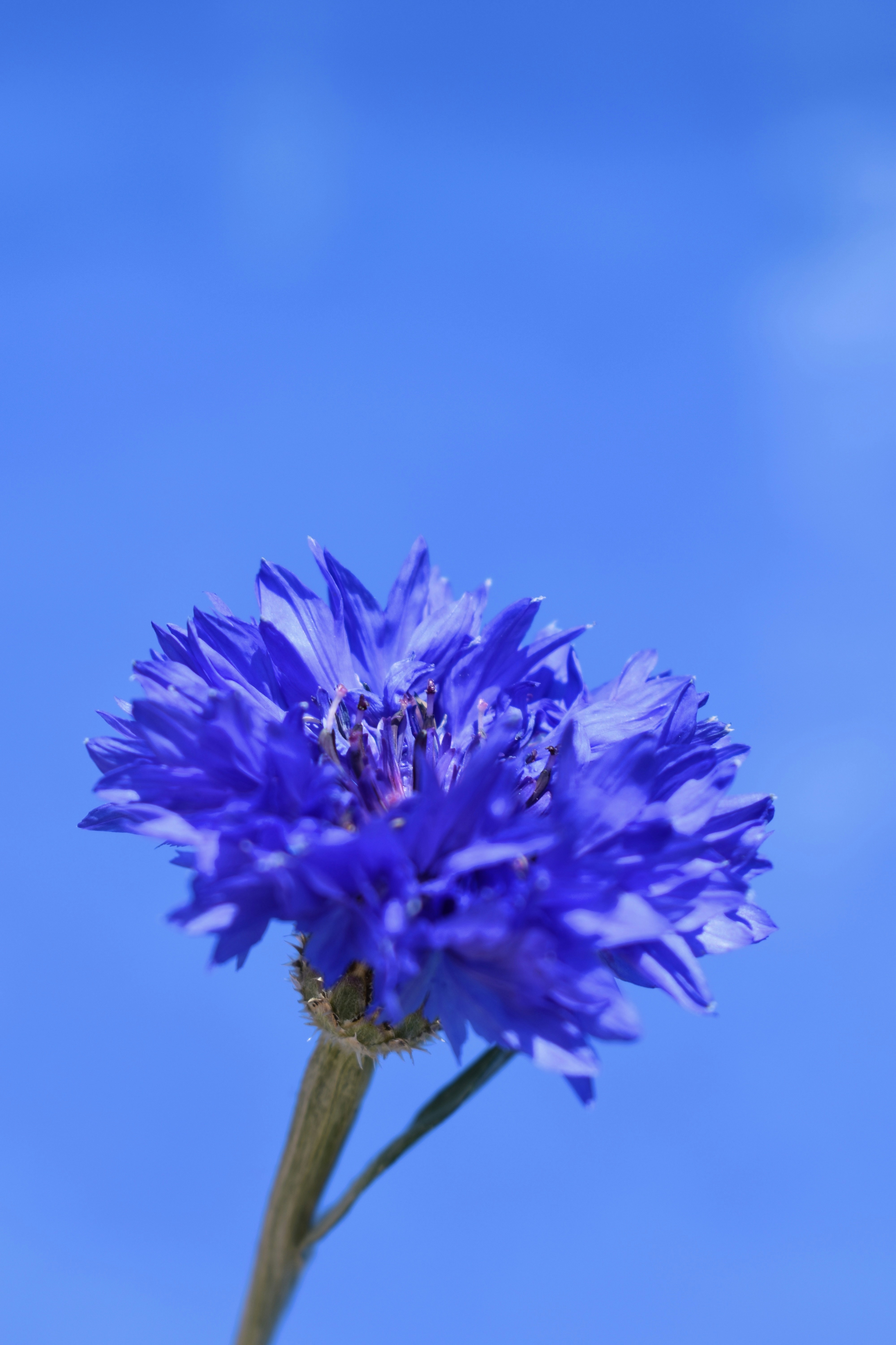 Photo by thebenitezz