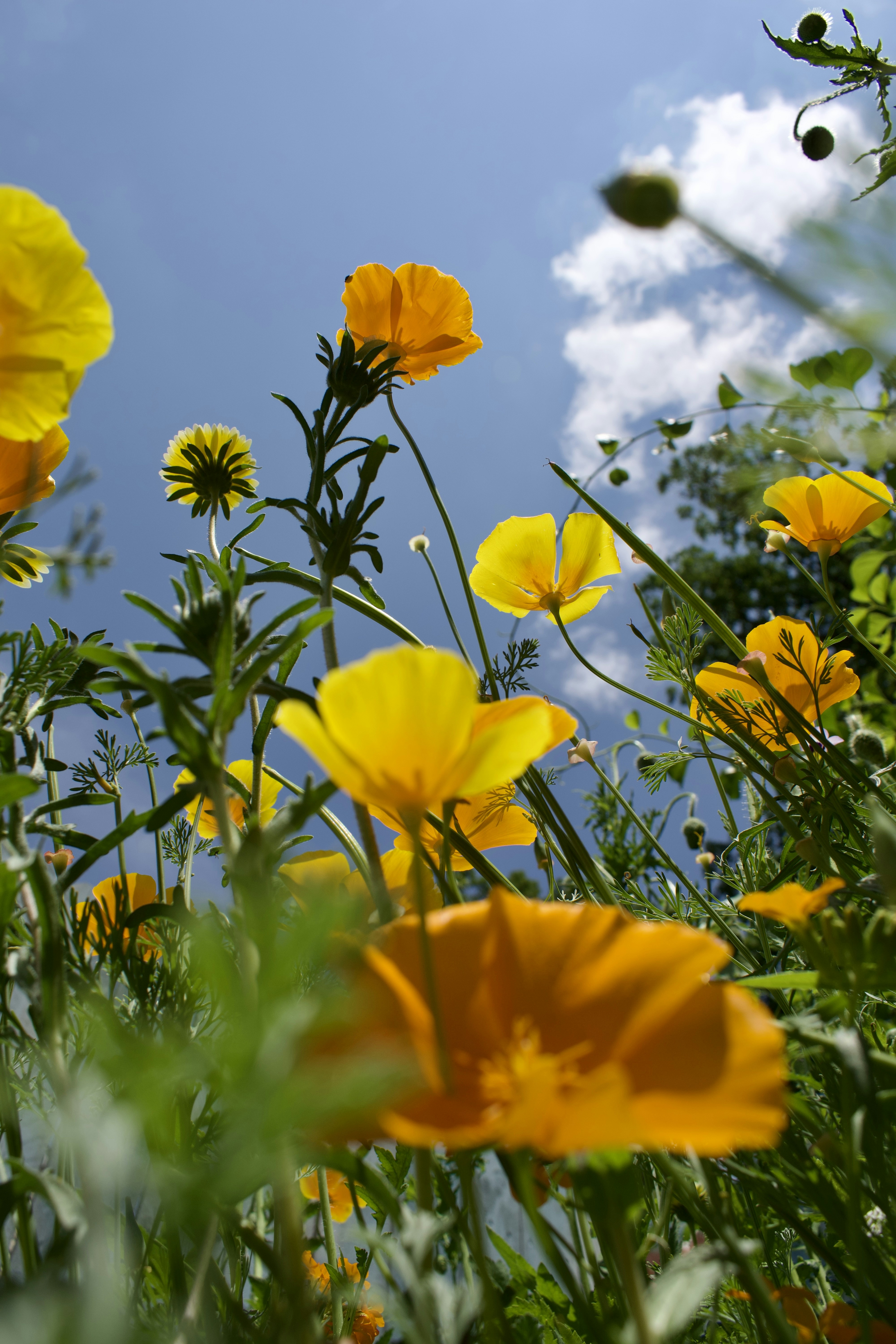 Photo by thebenitezz