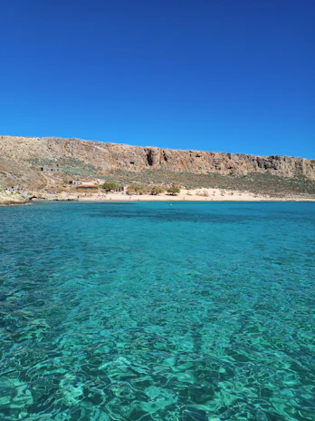 A panoramic view of the Calanques cliffs meeting the turquoise sea near Cassis under a clear blue sky.