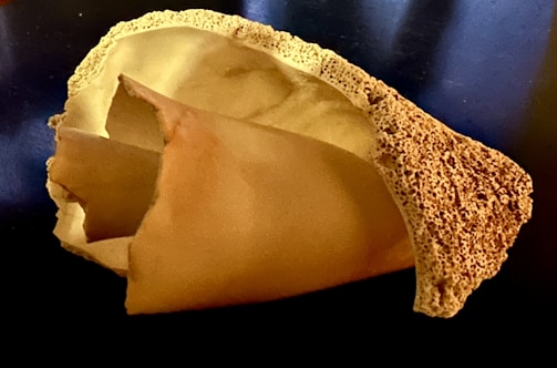 A close-up view of a piece of injured or perforated paper with rough and torn edges against a dark surface. The texture and the delicate details of the edges create an organic appearance.